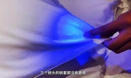 环球影城网友爆料视频,惊现神秘幕后操作，揭秘幕后真相！